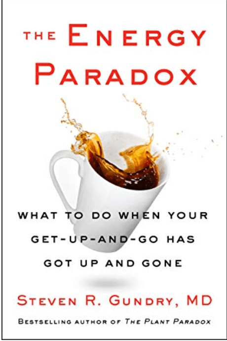 Cover of book The Energy Paradox