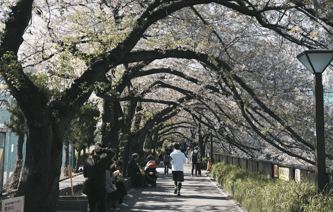 Ueno Park in Tokyo