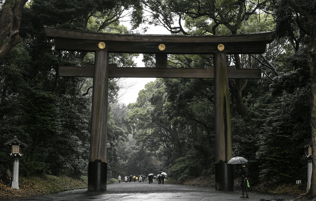 Meiji Shrine Entrance surrounded by lush greenery in Tokyo